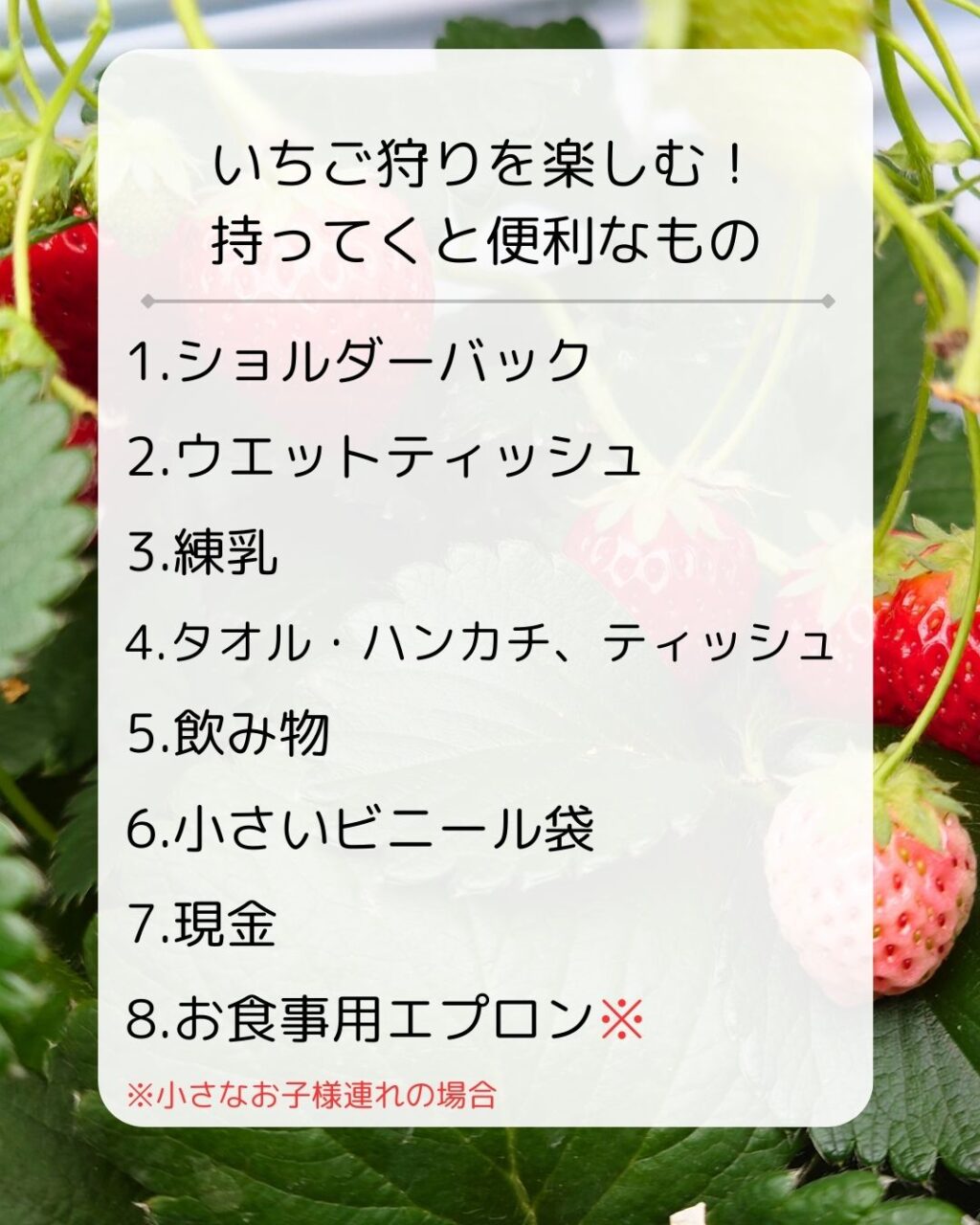 いちご狩りを楽しむ！持っていくと便利なものリスト
１．ショルダーバック、２．ウエットティッシュ、３．練乳、４．タオルやハンカチ、ティッシュ、５．飲み物、６．小さいビニール袋、７．現金、８．お食事用エプロン（小さなお子様連れの場合）