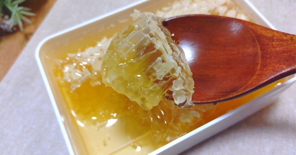 巣蜜をスプーンですくった写真。おいしそう…!