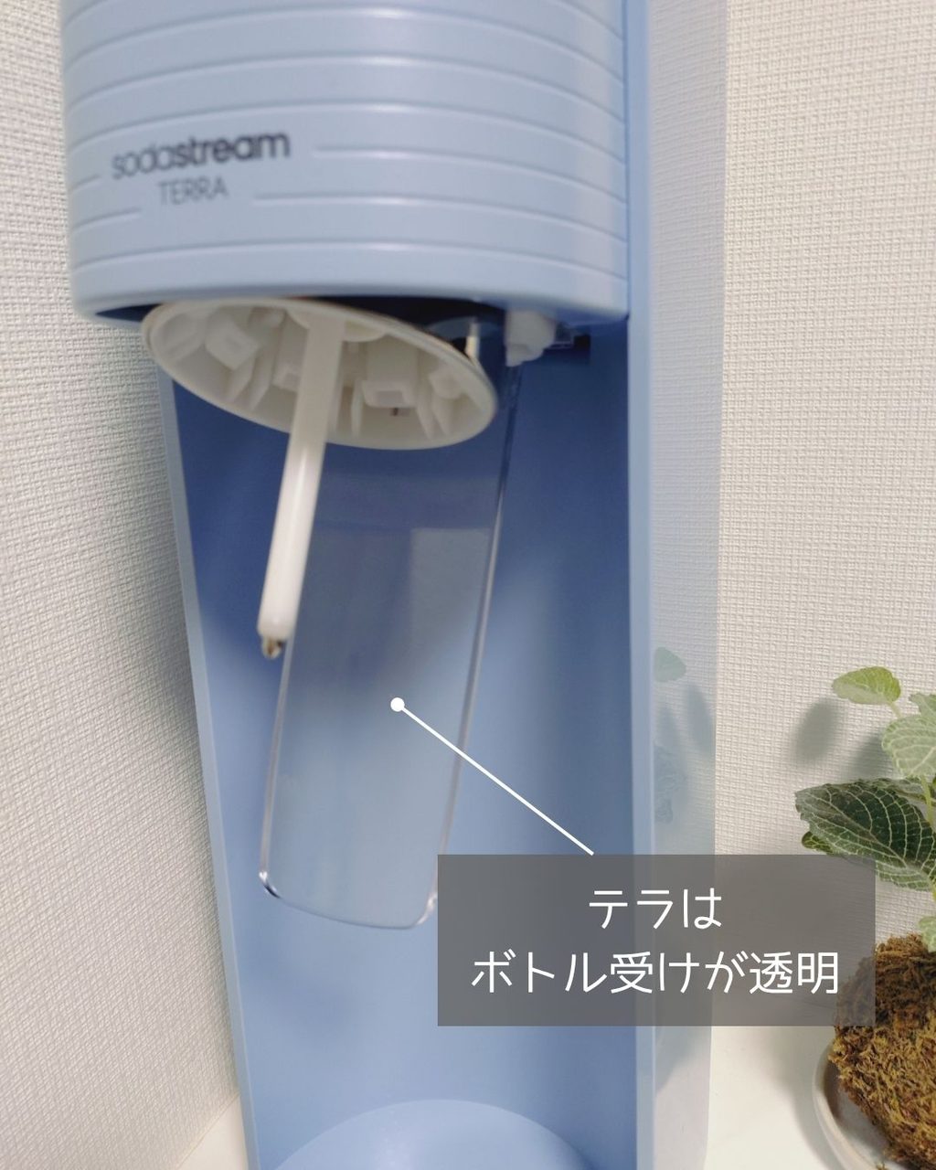 テラのボトル受けの色